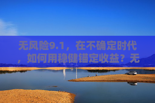 无风险9.1，在不确定时代，如何用稳健锚定收益？无风险9.1，不确定时代的稳健收益锚定