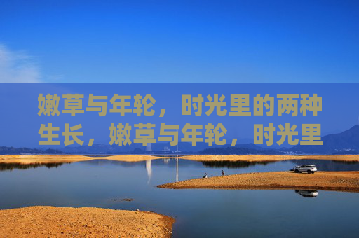 嫩草与年轮,时光里的两种生长,嫩草与年轮,时光里的两种生长 嫩草与年轮,时光里的两种生长,嫩草与年轮,时光里的两种生长