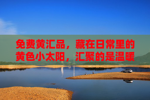免费黄汇品,藏在日常里的黄色小太阳,汇聚的是温暖,传递的是心意,免费黄汇品,日常里的黄色小太阳,汇聚温暖传心意 免费黄汇品,藏在日常里的黄色小太阳,汇聚的是温暖,传递的是心意,免费黄汇品,日常里的黄色小太阳,汇聚温暖传心意
