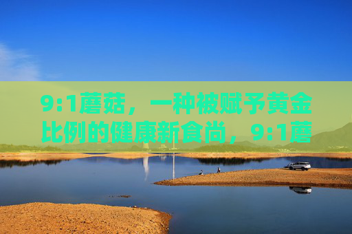 9:1蘑菇,一种被赋予黄金比例的健康新食尚,9:1蘑菇,黄金比例的健康新食尚 9:1蘑菇,一种被赋予黄金比例的健康新食尚,9:1蘑菇,黄金比例的健康新食尚