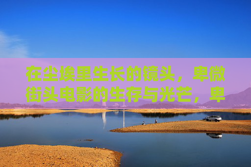 在尘埃里生长的镜头,卑微街头电影的生存与光芒,卑微街头电影,尘埃中生长的光芒 在尘埃里生长的镜头,卑微街头电影的生存与光芒,卑微街头电影,尘埃中生长的光芒