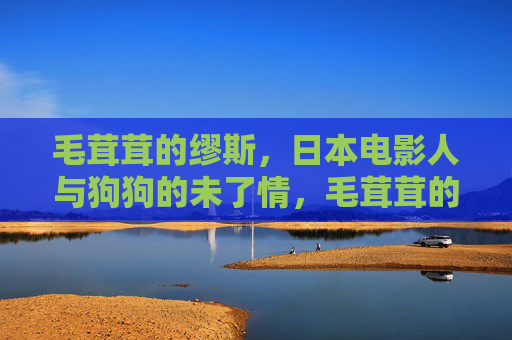 毛茸茸的缪斯，日本电影人与狗狗的未了情，毛茸茸的缪斯，日本电影人与狗狗的未了情