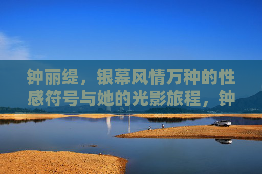 钟丽缇，银幕风情万种的性感符号与她的光影旅程，钟丽缇，银幕性感符号与光影之旅