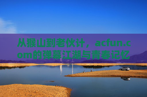 从猴山到老伙计，acfun.com的弹幕江湖与青春记忆，猴山到老伙计，A站弹幕江湖里的青春记忆