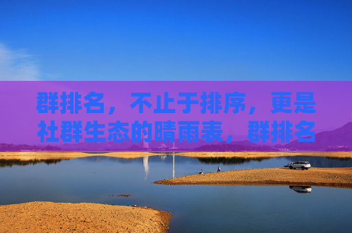 群排名，不止于排序，更是社群生态的晴雨表，群排名，社群生态的晴雨表