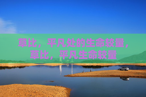 草比,平凡处的生命较量,草比,平凡生命较量 草比,平凡处的生命较量,草比,平凡生命较量