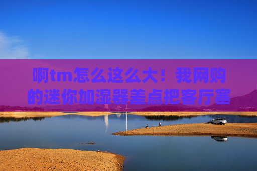 啊tm怎么这么大！我网购的迷你加湿器差点把客厅塞成储藏室，迷你加湿器网购到货惊呆，个头太大差点塞满客厅