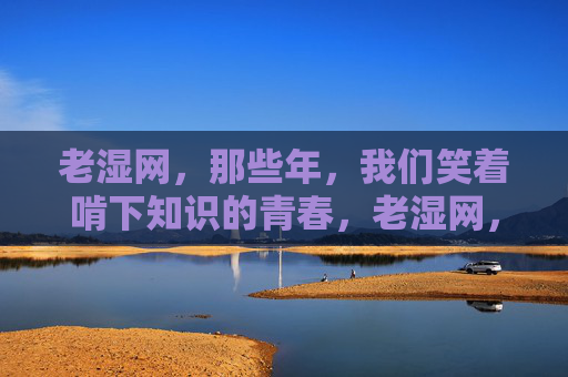 老湿网，那些年，我们笑着啃下知识的青春，老湿网，笑着啃过的青春知识课