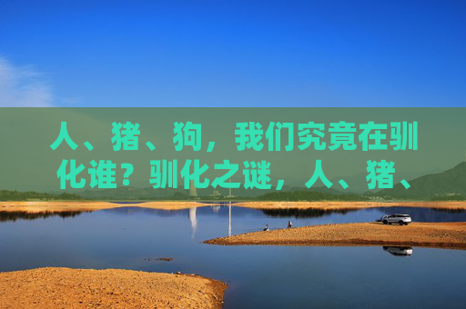 人、猪、狗,我们究竟在驯化谁?驯化之谜,人、猪、狗,谁驯化了谁? 人、猪、狗,我们究竟在驯化谁?驯化之谜,人、猪、狗,谁驯化了谁?