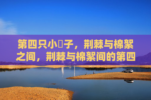第四只小䧅子，荆棘与棉絮之间，荆棘与棉絮间的第四只小䧅子