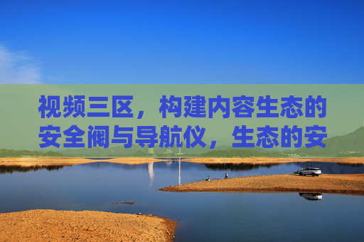 视频三区，构建内容生态的安全阀与导航仪，生态的安全阀与导航仪