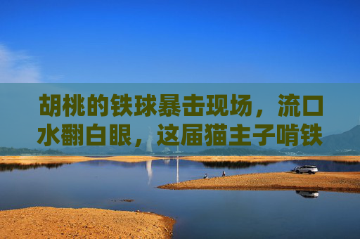胡桃的铁球暴击现场，流口水翻白眼，这届猫主子啃铁球有多上头？猫主子啃铁球暴击，流口水翻白眼，这啃法也太上头！