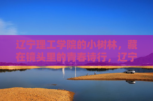 辽宁理工学院的小树林,藏在镜头里的青春诗行,辽宁理工学院小树林,镜头里的青春诗行 辽宁理工学院的小树林,藏在镜头里的青春诗行,辽宁理工学院小树林,镜头里的青春诗行