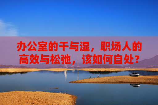 办公室的干与湿,职场人的高效与松弛,该如何自处?职场干湿平衡,高效与松弛的自处之道 办公室的干与湿,职场人的高效与松弛,该如何自处?职场干湿平衡,高效与松弛的自处之道