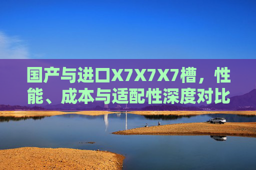 国产与进口X7X7X7槽,性能、成本与适配性深度对比,X7X7X7槽,国产与进口性能成本适配性深度对比 国产与进口X7X7X7槽,性能、成本与适配性深度对比,X7X7X7槽,国产与进口性能成本适配性深度对比