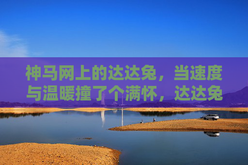 神马网上的达达兔,当速度与温暖撞了个满怀,达达兔,速度与温暖撞了个满怀 神马网上的达达兔,当速度与温暖撞了个满怀,达达兔,速度与温暖撞了个满怀