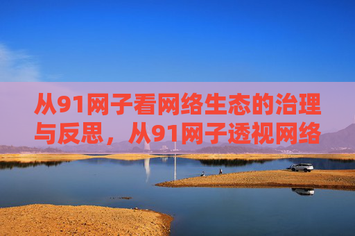 从91网子看网络生态的治理与反思，从91网子透视网络生态治理与反思