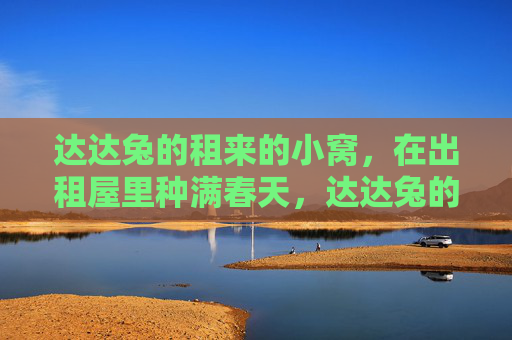 达达兔的租来的小窝,在出租屋里种满春天,达达兔的租来小窝,种满整个春天 达达兔的租来的小窝,在出租屋里种满春天,达达兔的租来小窝,种满整个春天