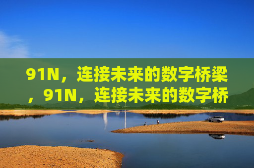 91N，连接未来的数字桥梁，91N，连接未来的数字桥梁