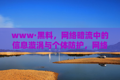 www·黑料，网络暗流中的信息漩涡与个体防护，网络黑料漩涡，个体防护指南