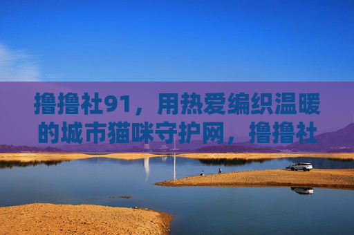 撸撸社91,用热爱编织温暖的城市猫咪守护网,撸撸社91,用热爱编织温暖的城市猫咪守护网 撸撸社91,用热爱编织温暖的城市猫咪守护网,撸撸社91,用热爱编织温暖的城市猫咪守护网