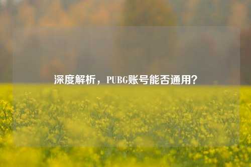 深度解析，PUBG账号能否通用？