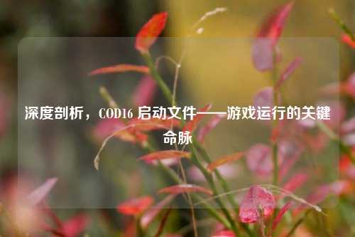 深度剖析，COD16 启动文件——游戏运行的关键命脉