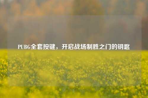 PUBG全套按键，开启战场制胜之门的钥匙