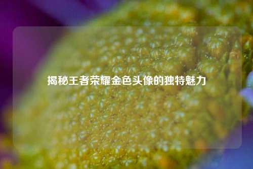 揭秘王者荣耀金色头像的独特魅力