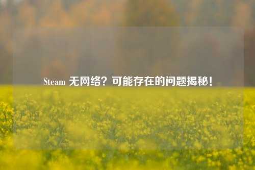 Steam 无网络？可能存在的问题揭秘！
