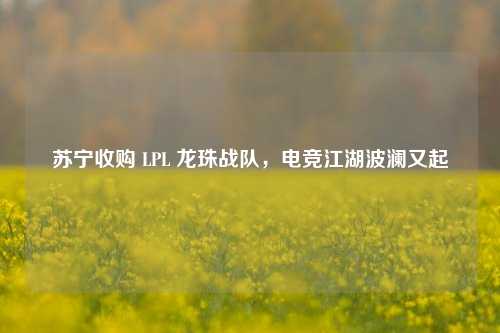 苏宁收购 LPL 龙珠战队，电竞江湖波澜又起