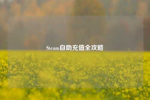 Steam自助充值全攻略