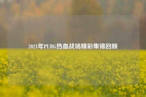 2021年PUBG热血战场精彩集锦回顾