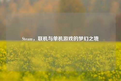 Steam，联机与单机游戏的梦幻之境