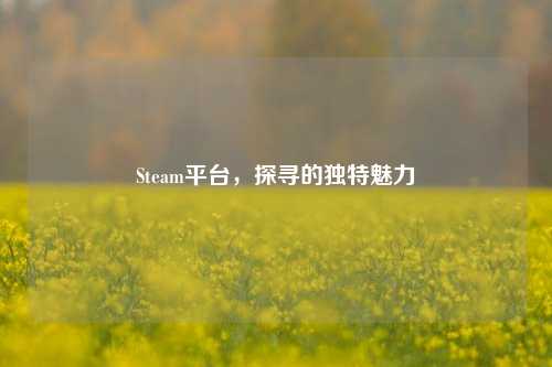 Steam平台，探寻的独特魅力