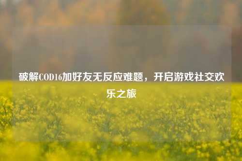 破解COD16加好友无反应难题，开启游戏社交欢乐之旅