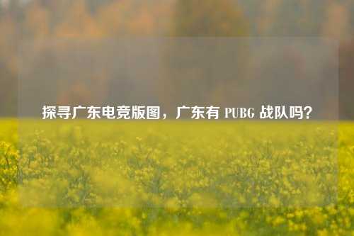 探寻广东电竞版图，广东有 PUBG 战队吗？