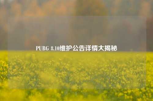 PUBG 8.10维护公告详情大揭秘