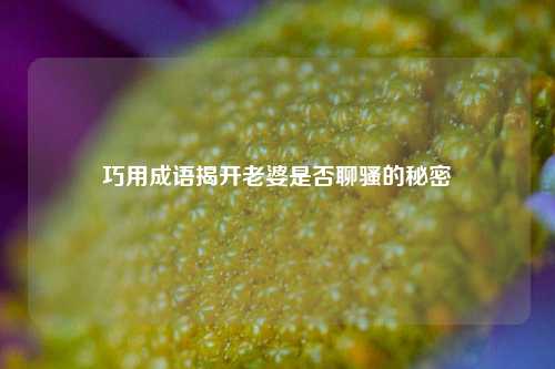 巧用成语揭开老婆是否聊骚的秘密