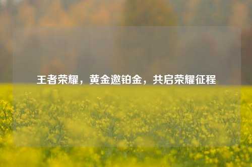 王者荣耀，黄金邀铂金，共启荣耀征程