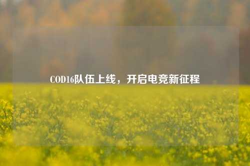 COD16队伍上线，开启电竞新征程