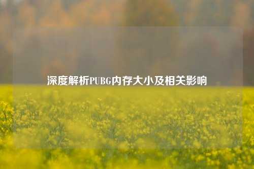 深度解析PUBG内存大小及相关影响