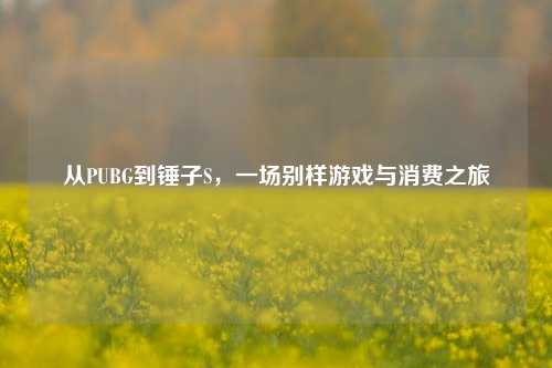 从PUBG到锤子S,一场别样游戏与消费之旅