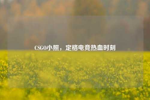 CSGO小照,定格电竞热血时刻