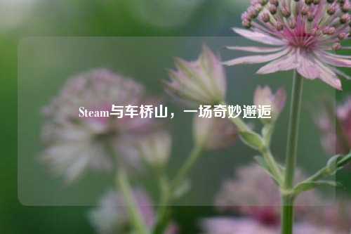 Steam与车桥山，一场奇妙邂逅