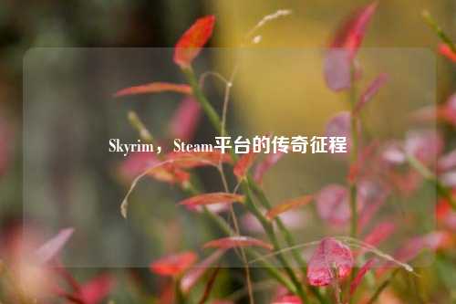 Skyrim，Steam平台的传奇征程