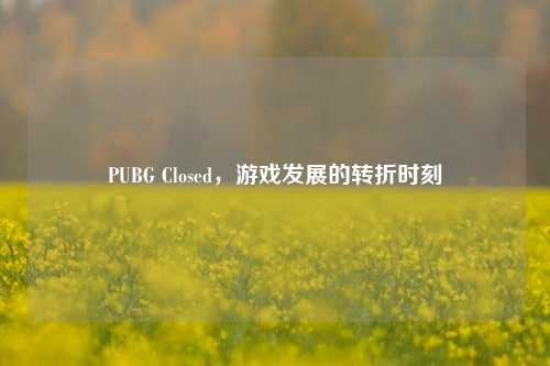 PUBG Closed，游戏发展的转折时刻