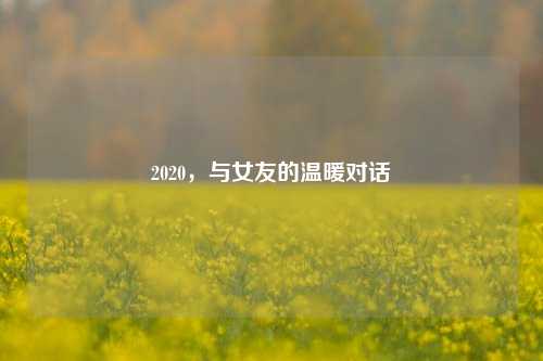 2020,与女友的温暖对话