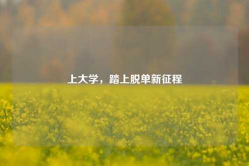 上大学，踏上脱单新征程