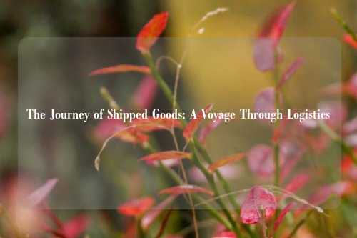 The Journey of Shipped Goods: A Voyage Through Logistics
